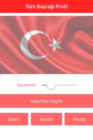 Türk Bayrağı Profil Resmi Oluştur screenshot 2