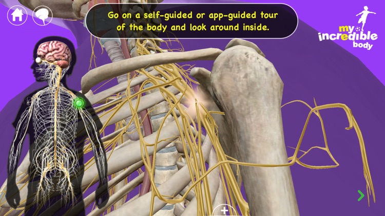 My Incredible Body - Guide to Learn About the Human Body for Children - Educational Science App with Anatomy for Kids screenshot-3