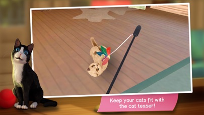 CatHotel - Care for cute cats Screenshot 5