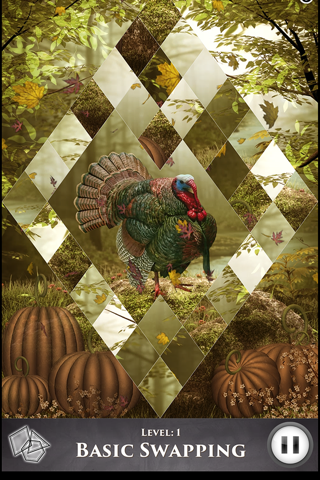 Hidden Scenes - Turkey Trot screenshot 2