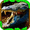 3D Crocodile Attack Pro - 2016  A Wild-Life Sniper Hunting Animal Season Free