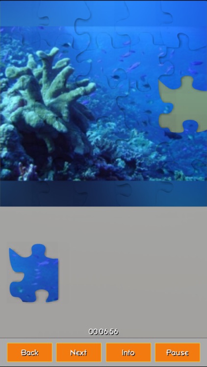 Coral Reefs Jigsaw Puzzles