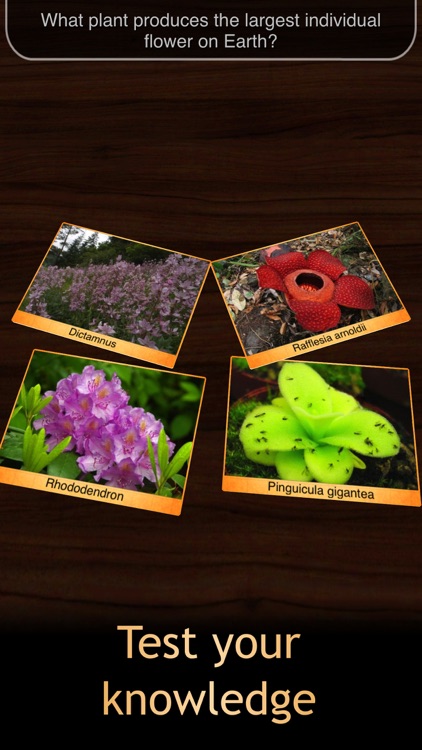 Geo Walk: World Factbook & Natural Science for Kid screenshot-4