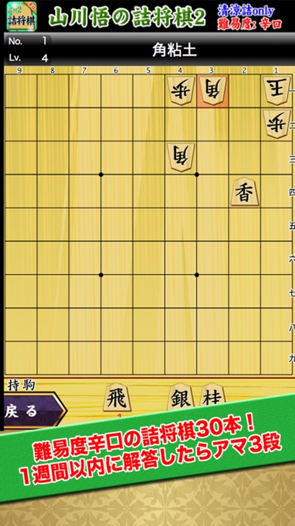 山川悟の詰将棋2