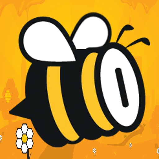 Fly Beedoo - PRO icon