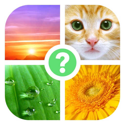 4 Bilder: Was ist das Wort? icon