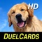 Dog Breeds HD