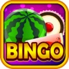 Bingo House of Fun Sweet Fruity Casino Game