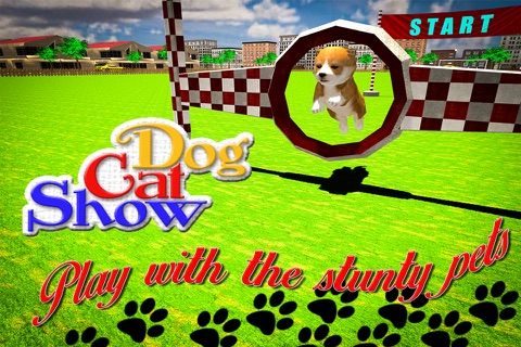 Dog Cat Stunts Show Simulator screenshot 2