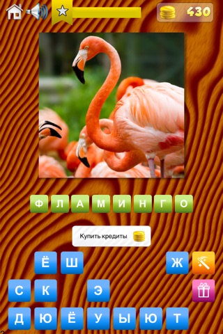 Animals Quiz - World Edition screenshot 4