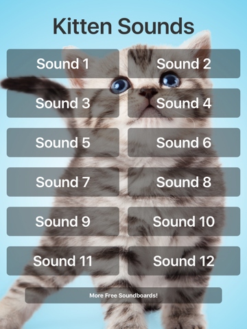Kitten Sounds! - náhled