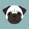 Welcome to Pug Life HD