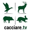 CacciareTV