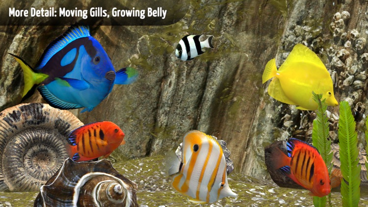 MyReef 3D Aquarium 3 screenshot-3