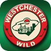 Westchester Wild Hockey