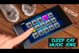 Game screenshot Sleep Cat Music Joke hack