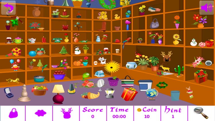 Hidden Objects Memory Game
