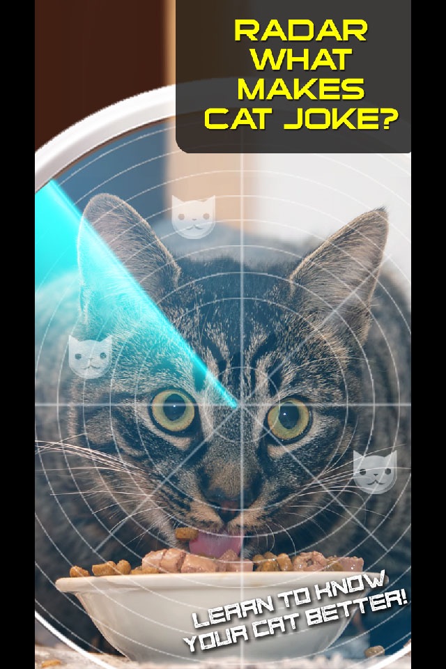 Radar What Makes Cat Joke screenshot 3