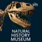 Take an incredible journey through the natural history museum from the comforts of your home
