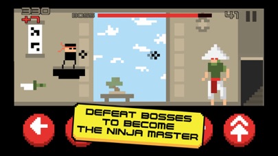 Ninja Madness Screenshot 5
