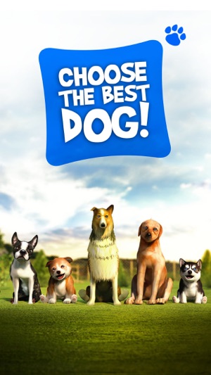 Dog Simulator 2015(圖3)-速報App