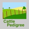 Cattle Pedigree Database