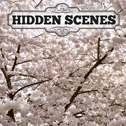 Hidden Scenes - First of Spring iOS App