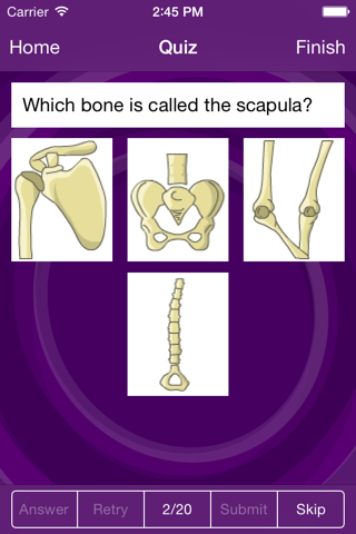 I Am Learning: KS2 Science screenshot 2