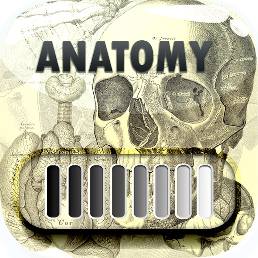 FrameLock – Anatomy : Screen Photo Maker Overlays Wallpapers For Pro icon