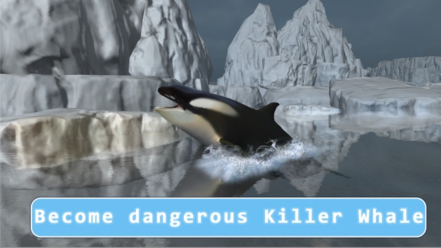 Orca Killer Whale Survival Simulator 3D - Play as orca, big (圖1)-速報App