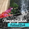 Yangmingshan National Park Guide