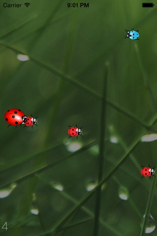 Ladybug Fighter screenshot 3