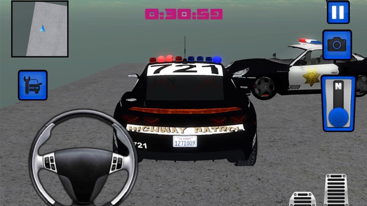 Russian Real Police Driver Crime City Simulator screenshot-3