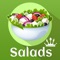 If you are looking for satisfying and healthy salad recipes then 'Salads Recipes' app is the best option for you