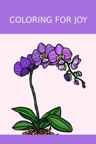 Flower Coloring Book Games screenshot 3