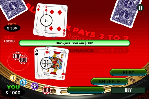 Aqua Casino Big Time Blackjack screenshot 2