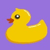 The Duck Swipe App - How many times can you swipe the duck?