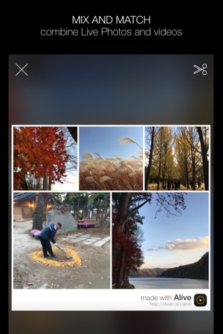 Alive - Create & Share Animated Collages for Live Photos and Videos screenshot 3