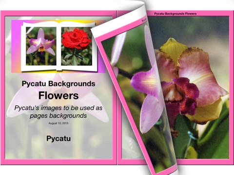 Pycatu Books screenshot 2