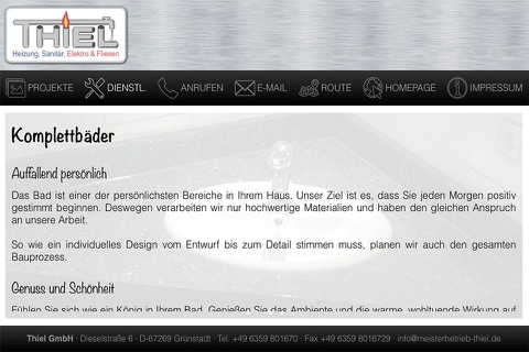 Thiel GmbH - Grünstadt screenshot 2