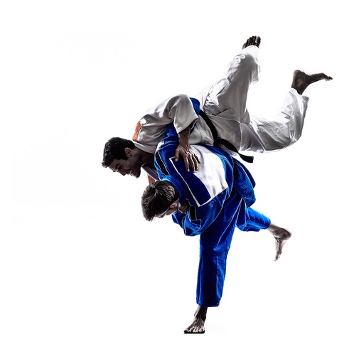 My First Judo Lessons icon