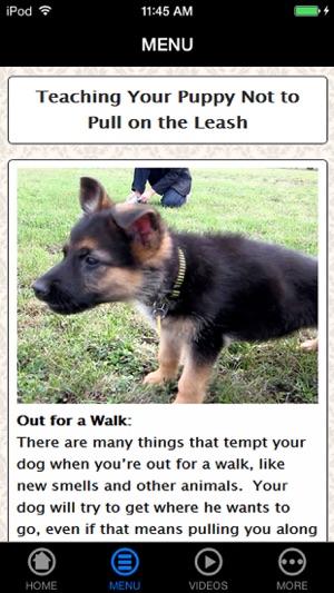 German Shepherd Puppy Training Made Easy - Best Guide & Tips(圖2)-速報App