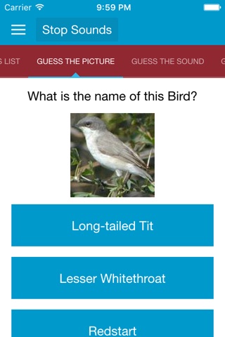 UK Birds Sounds screenshot 3