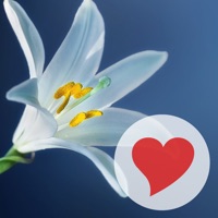 570 Photos pour PC