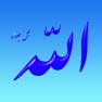 Get Asmaul Husna Meaning : 99 Names of Allah (اسماء الله الحسنى ومعانيها) for iOS, iPhone, iPad Aso Report