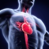 Cardiology Diseases 101: Prevention Tips and Treatment Tutorial