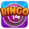 Bingo Mania Fun - Las Vegas Free Games Bet,Spin & Win Big
