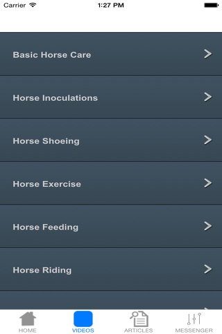 Basic Horse Care screenshot 4