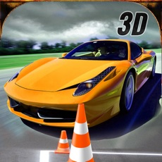 Activities of Real Extreme Racing Car Driving Simulator Free 3D