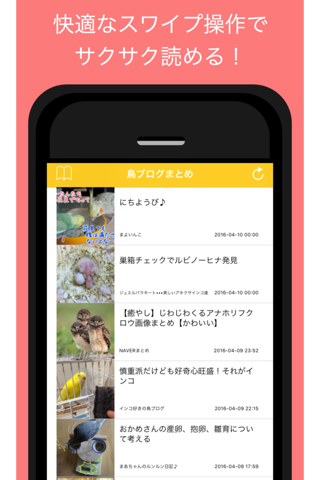 鳥ブログまとめ - 人気の鳥ブログをまとめてお届け screenshot 3